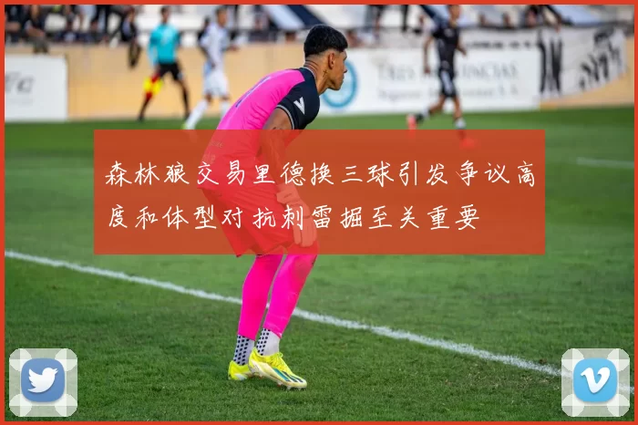 森林狼交易里德换三球引发争议高度和体型对抗刺雷掘至关重要